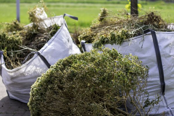 Cost of Shrubs Removal in Mill Valley